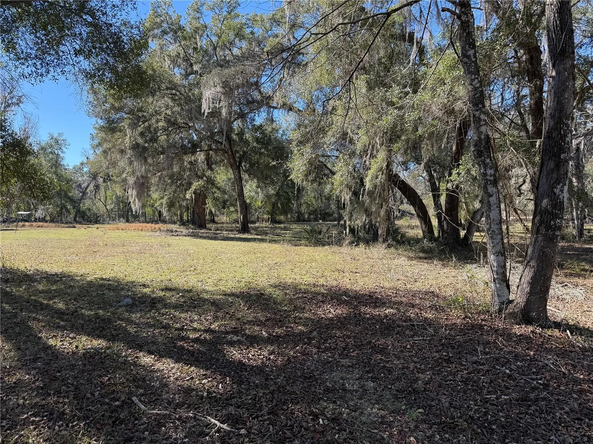 18630 Bradshaw Road Dade City FL 33523