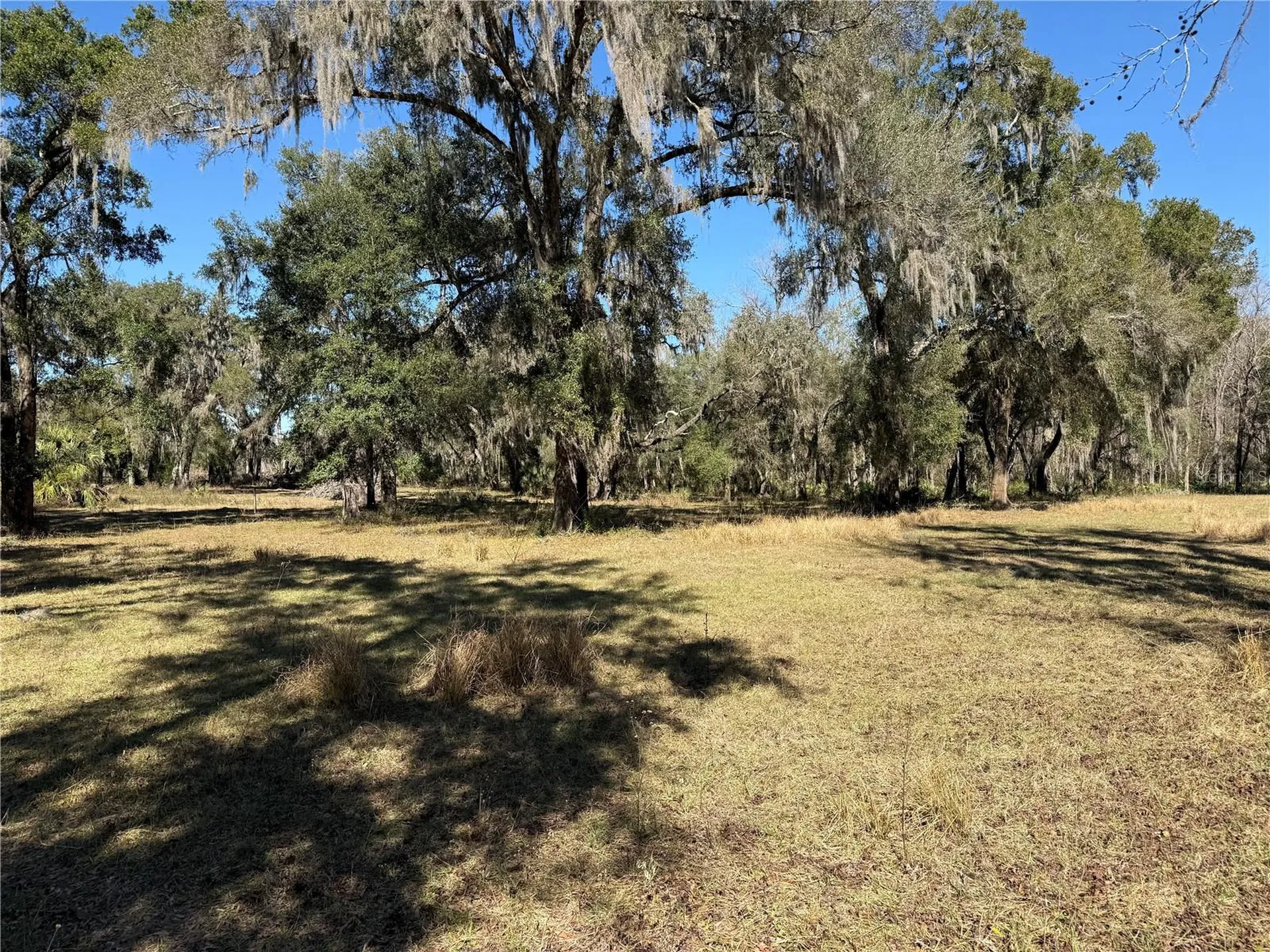 18630 Bradshaw Road Dade City FL 33523