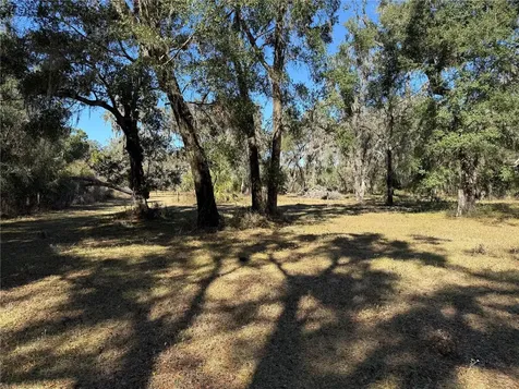 18630 Bradshaw Road Dade City FL 33523