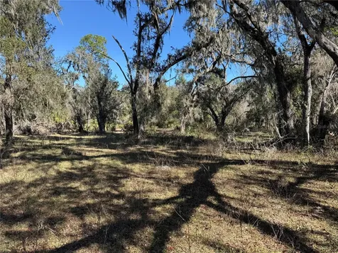 18630 Bradshaw Road Dade City FL 33523