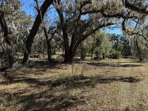 18630 Bradshaw Road Dade City FL 33523