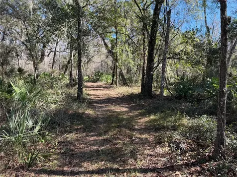 18630 Bradshaw Road Dade City FL 33523