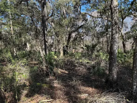 18630 Bradshaw Road Dade City FL 33523