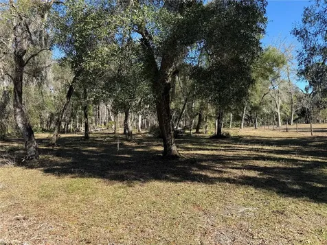 18630 Bradshaw Road Dade City FL 33523