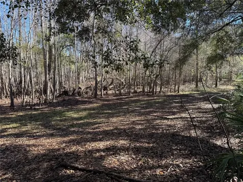 18630 Bradshaw Road Dade City FL 33523