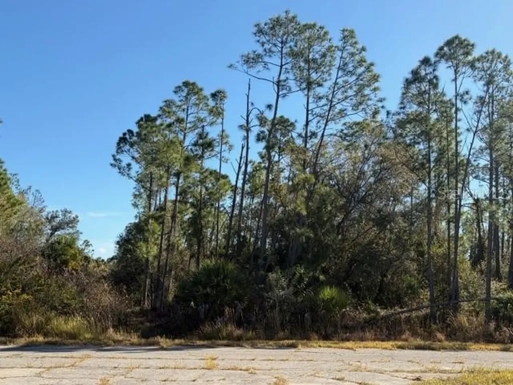 Langlais Drive North Port FL 34288