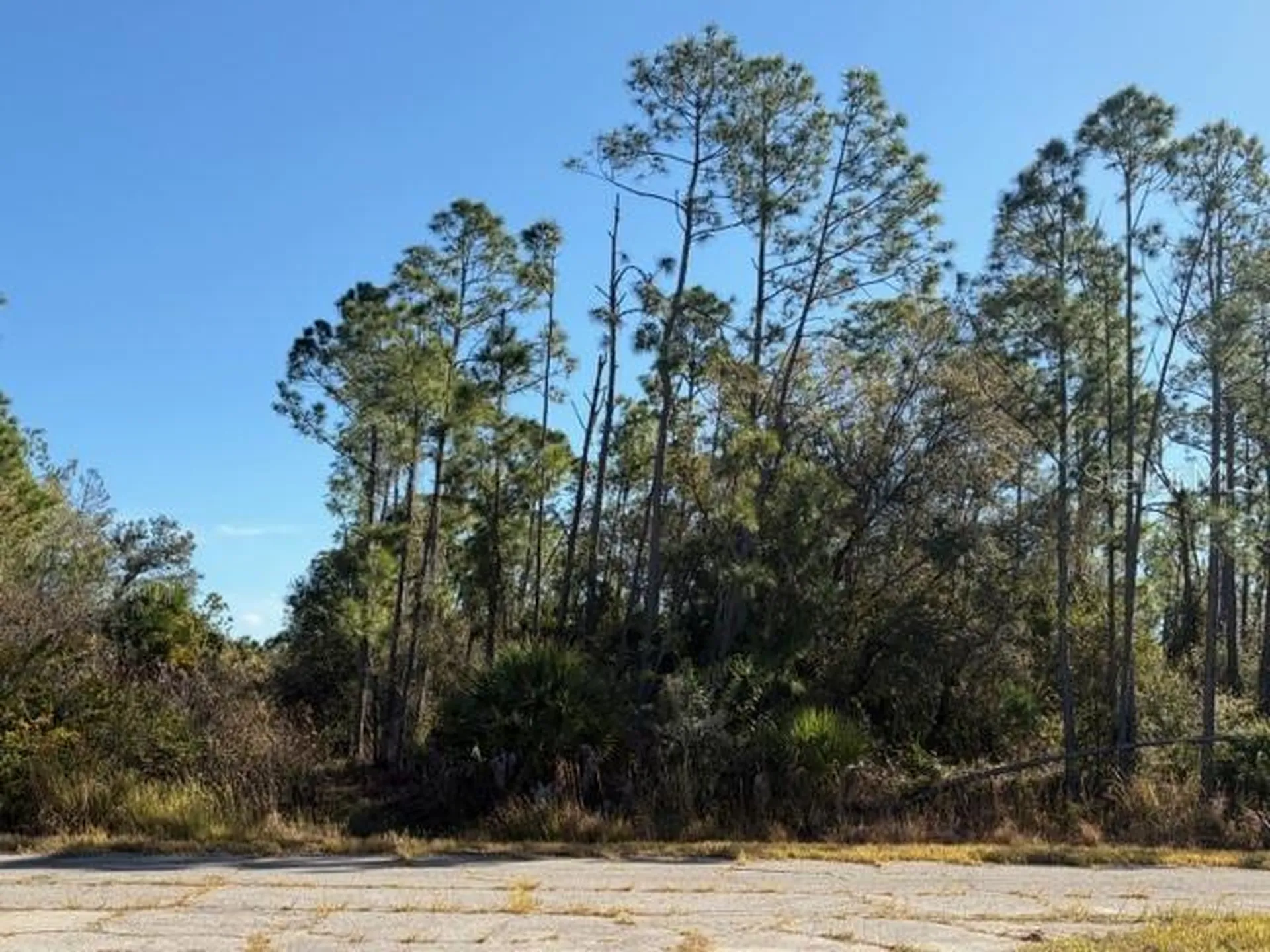 Langlais Drive North Port FL 34288