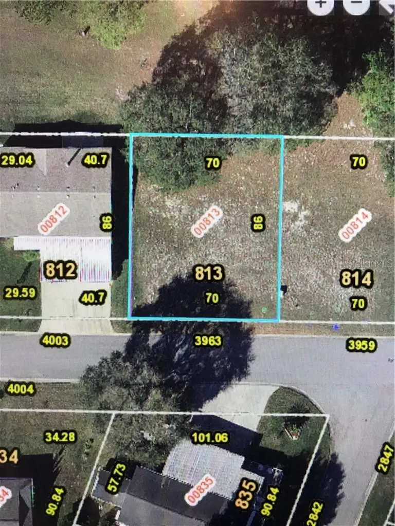 3963 Greenbluff Road Zellwood FL 32798
