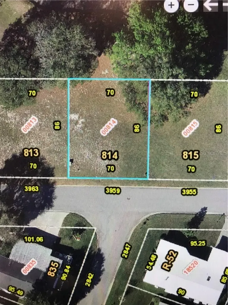 3959 Greenbluff Road Zellwood FL 32798