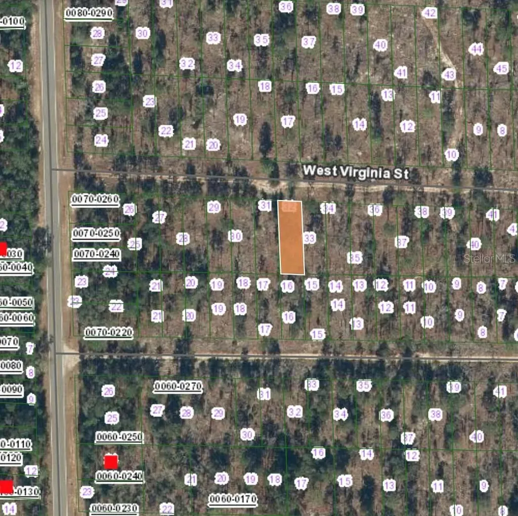 123 West Virginia Street Hawthorne FL 32640