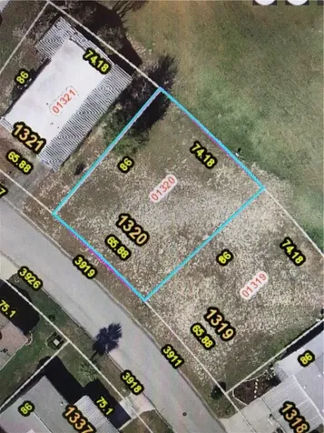 3919 Parway Road Zellwood FL 32798