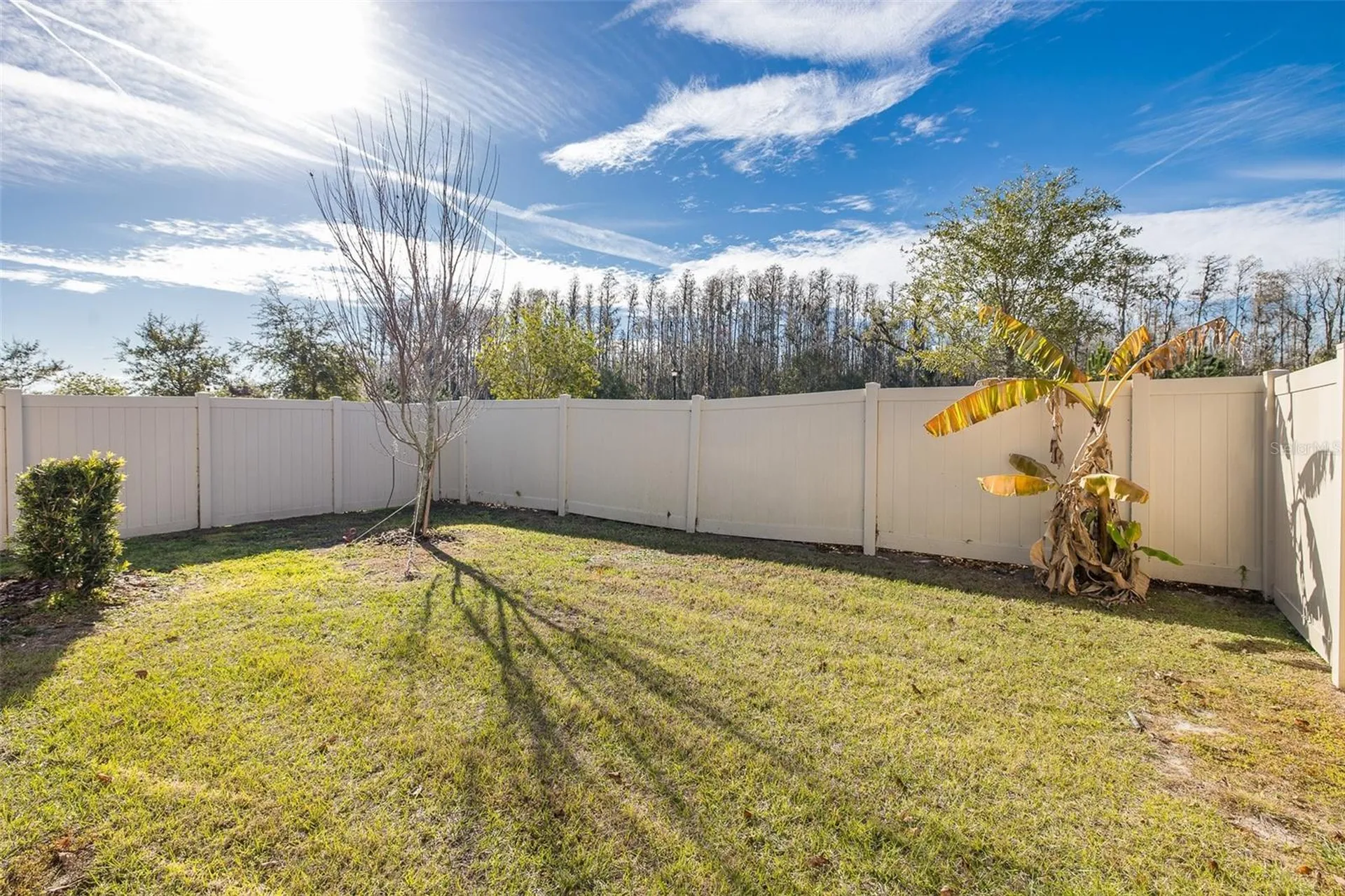 17911 Turning Leaf Circle Land O Lakes FL 34638