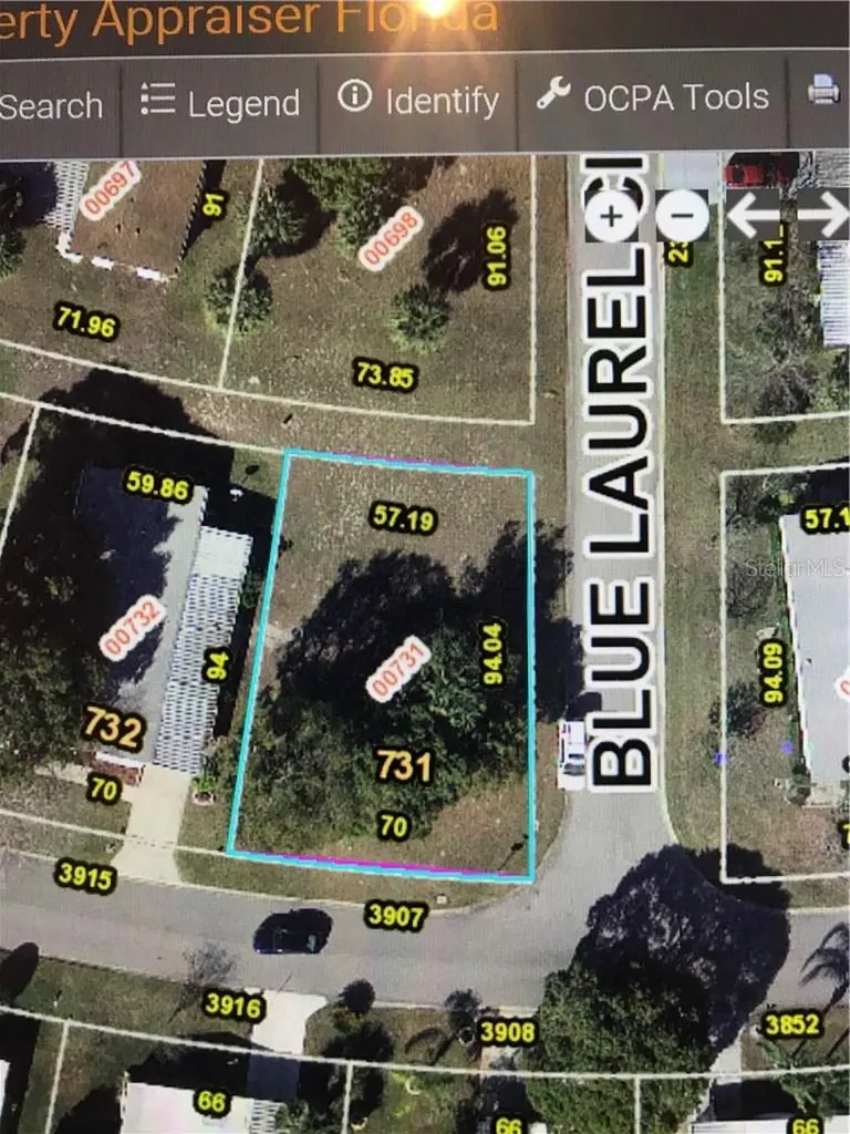 3907 Cohen Drive Zellwood FL 32798