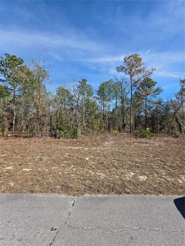Tbd SW 87th Avenue Ocala FL 34473