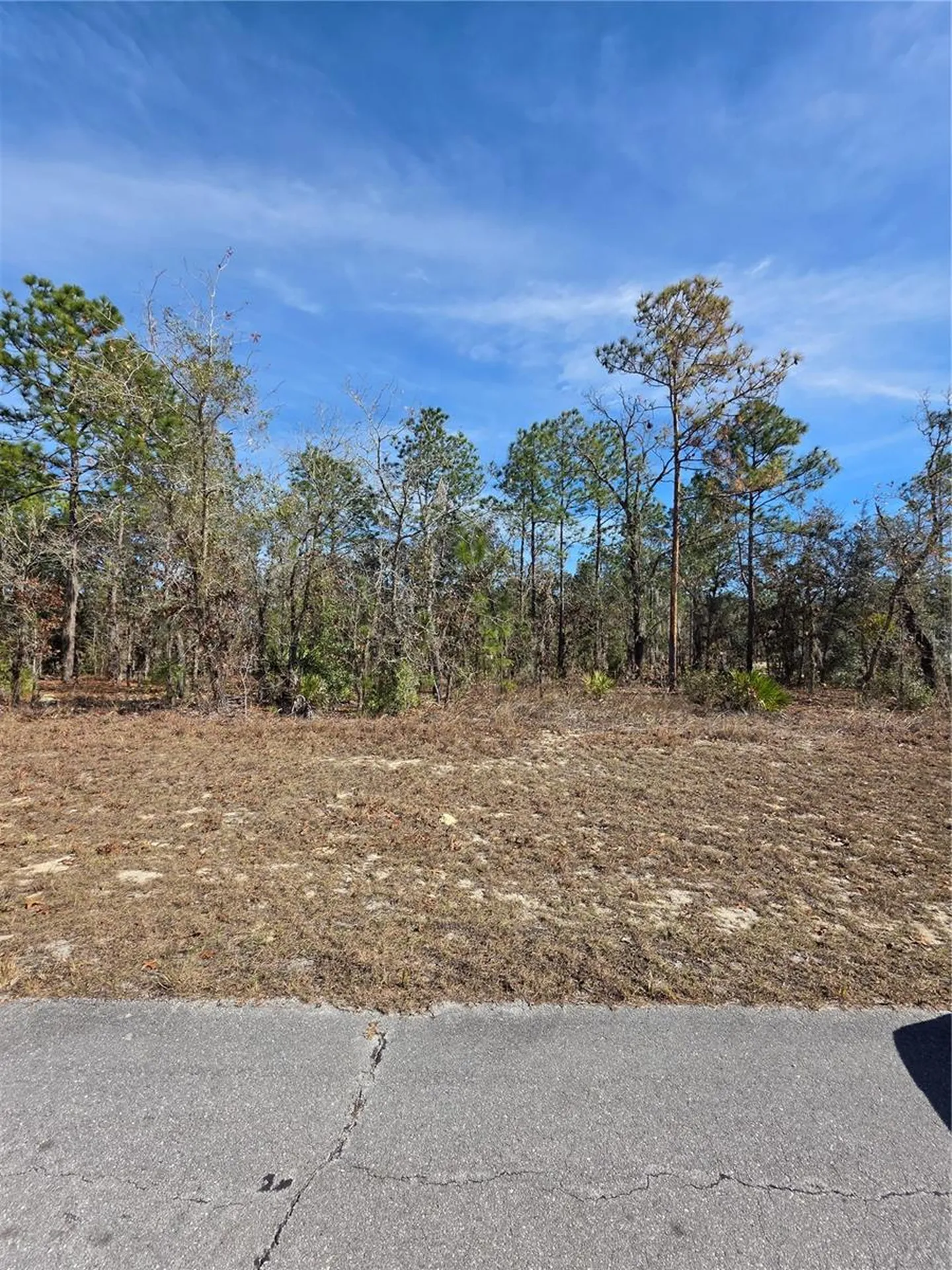 Tbd SW 87th Avenue Ocala FL 34473
