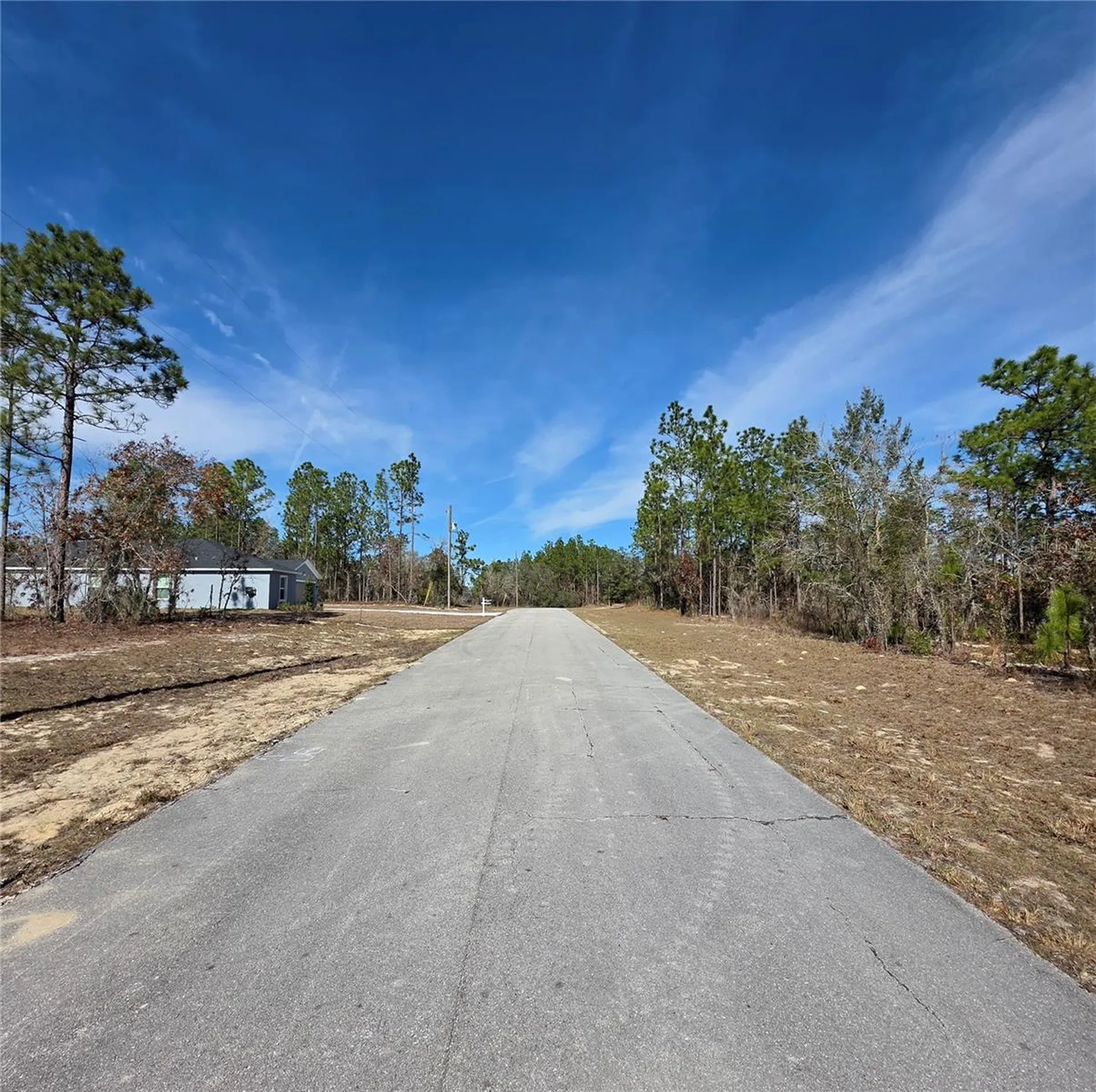 Tbd SW 87th Avenue Ocala FL 34473