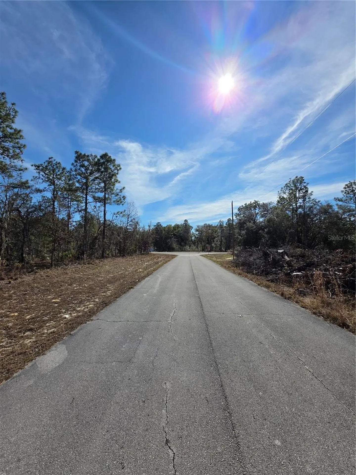Tbd SW 87th Avenue Ocala FL 34473