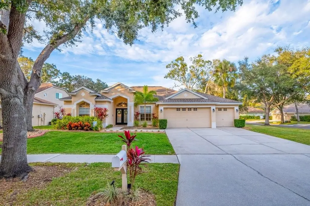 12537 River Birch Drive Riverview FL 33569
