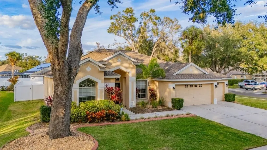 12537 River Birch Drive Riverview FL 33569