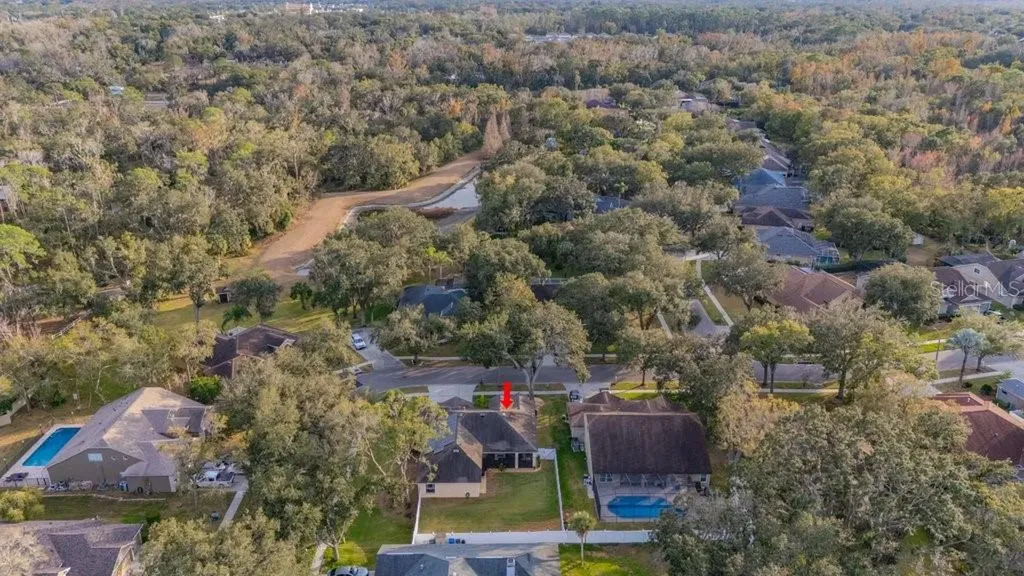 12537 River Birch Drive Riverview FL 33569