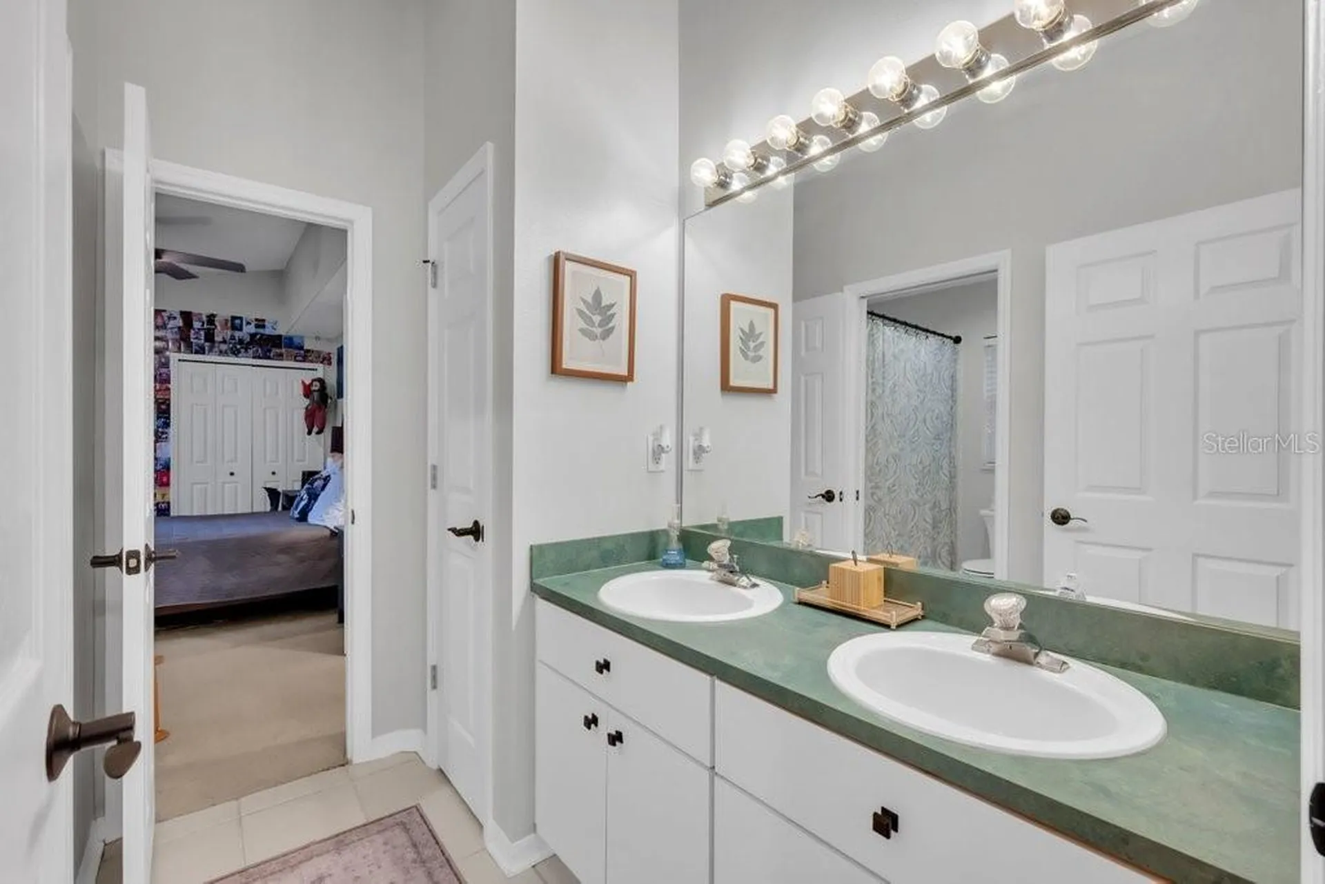 12537 River Birch Drive Riverview FL 33569