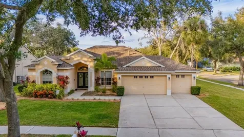 12537 River Birch Drive Riverview FL 33569