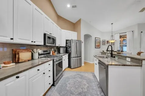 12537 River Birch Drive Riverview FL 33569