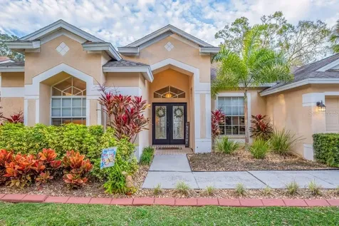 12537 River Birch Drive Riverview FL 33569