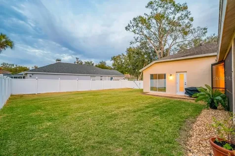 12537 River Birch Drive Riverview FL 33569