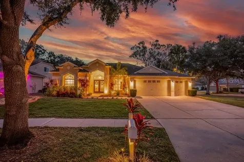 12537 River Birch Drive Riverview FL 33569