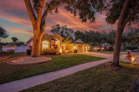 12537 River Birch Drive Riverview FL 33569