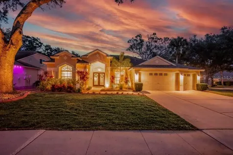 12537 River Birch Drive Riverview FL 33569