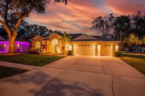 12537 River Birch Drive Riverview FL 33569