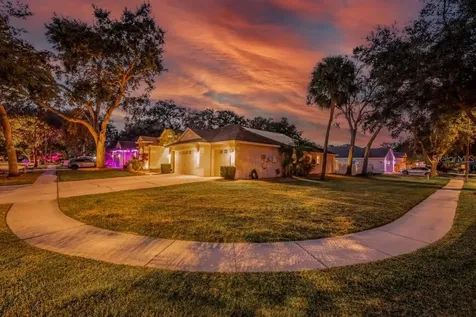 12537 River Birch Drive Riverview FL 33569