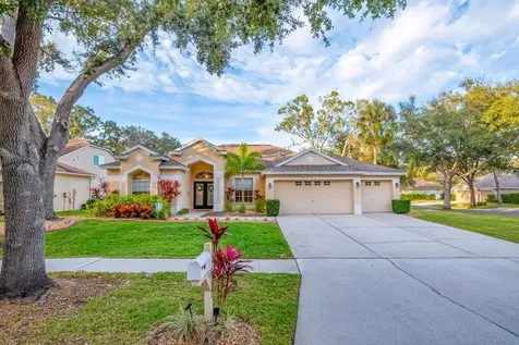 12537 River Birch Drive Riverview FL 33569