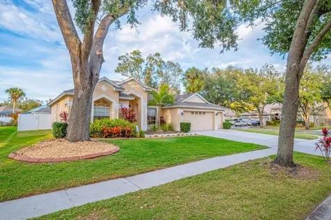 12537 River Birch Drive Riverview FL 33569