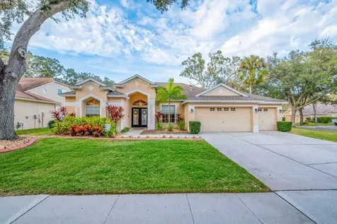 12537 River Birch Drive Riverview FL 33569