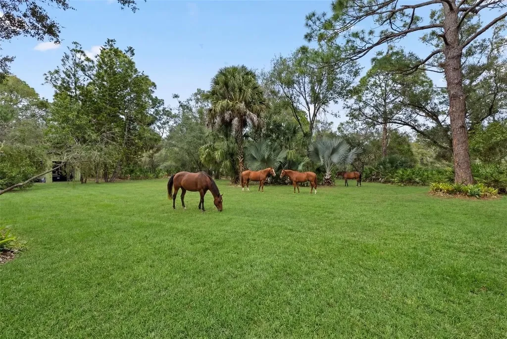 6950 El Dorado Drive Sarasota FL 34240