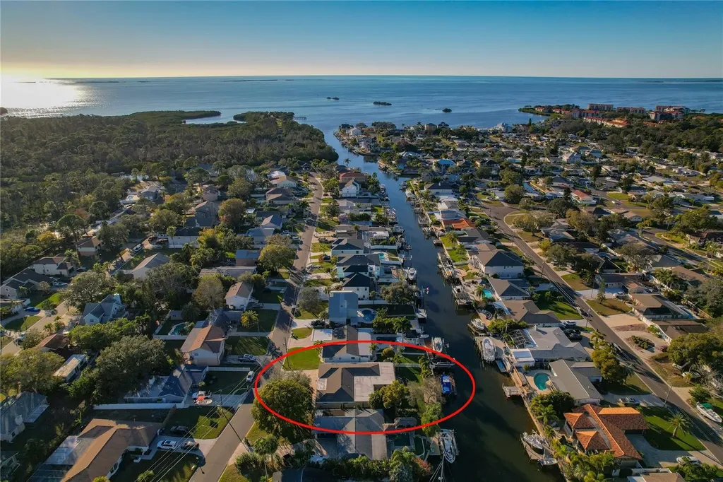 335 Crosswinds Drive Palm Harbor FL 34683