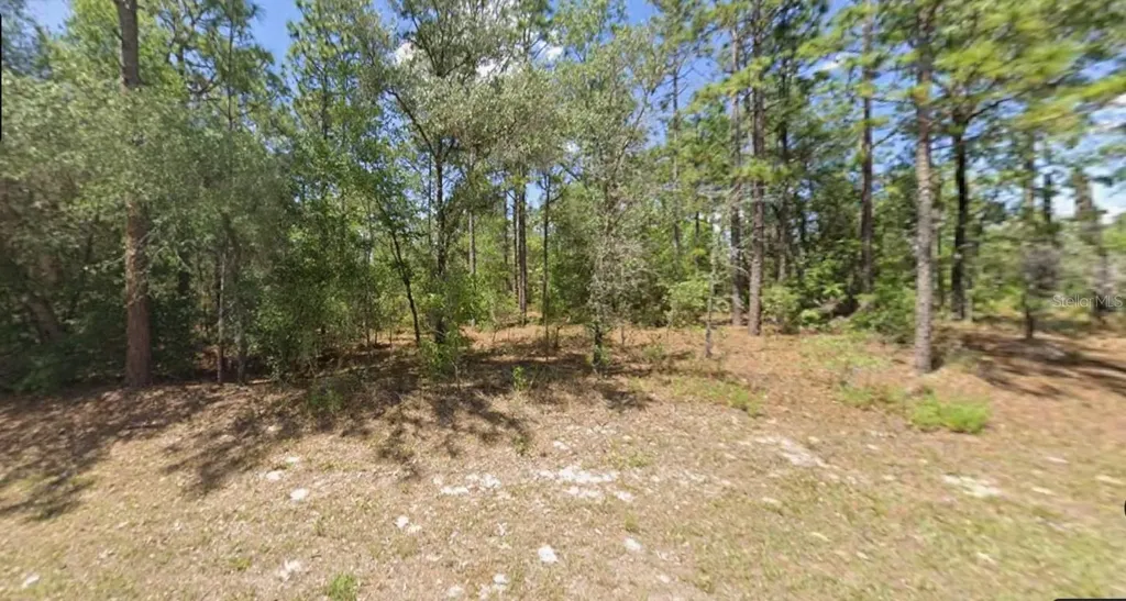 2795 W Rutland Drive Citrus Springs FL 34433