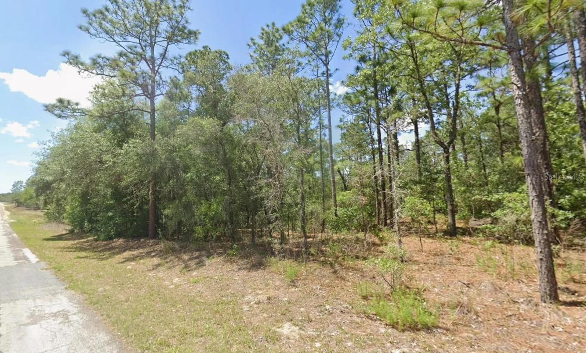 2795 W Rutland Drive Citrus Springs FL 34433