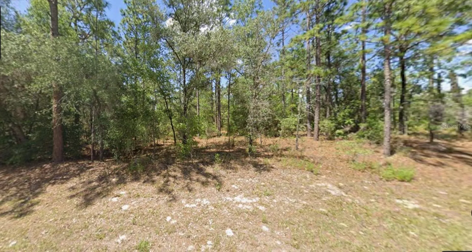 2795 W Rutland Drive Citrus Springs FL 34433