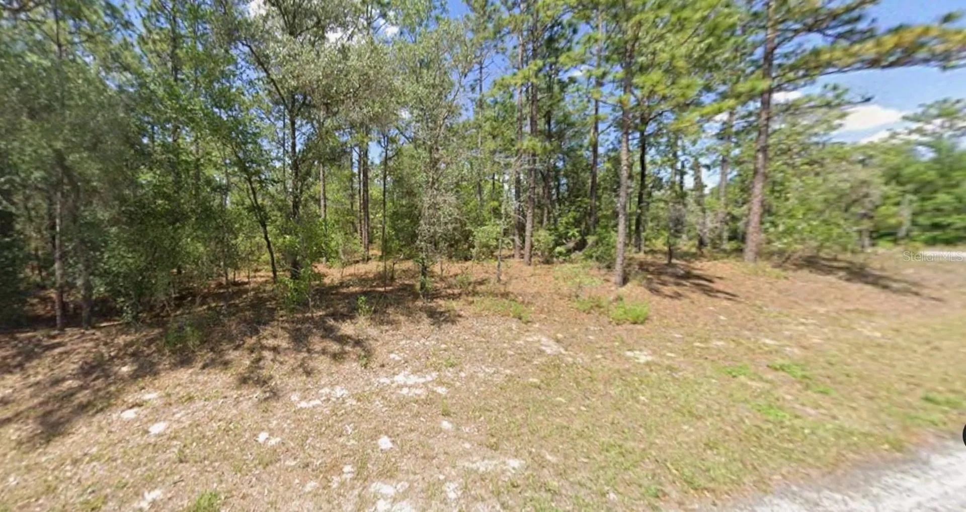 2795 W Rutland Drive Citrus Springs FL 34433