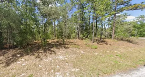 2795 W Rutland Drive Citrus Springs FL 34433