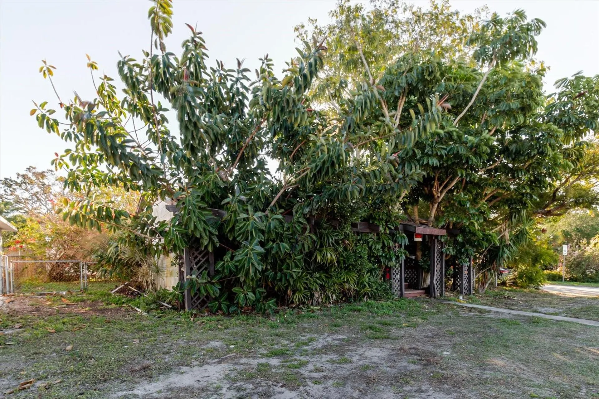 1604 Omaha Street Palm Harbor FL 34683
