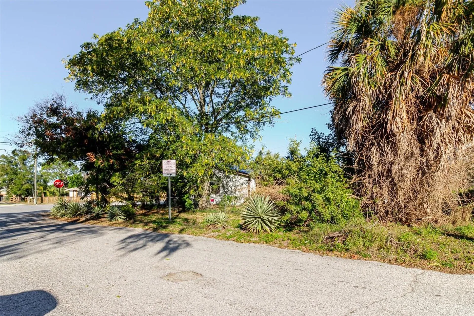 1604 Omaha Street Palm Harbor FL 34683