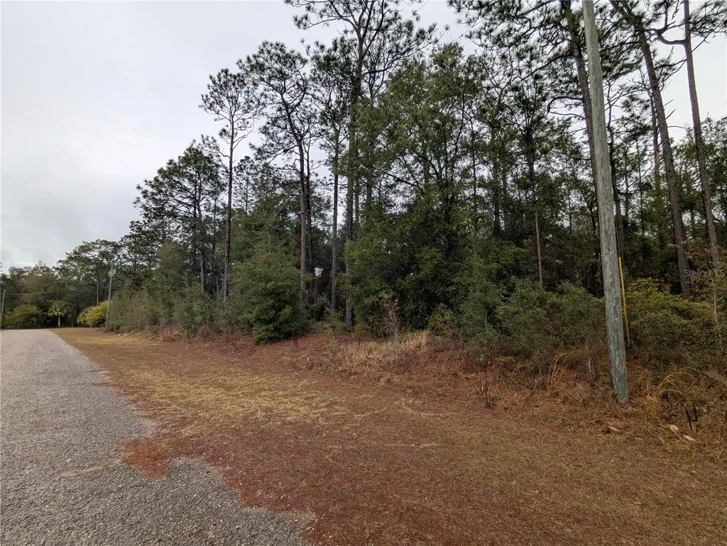 2737 W Blink Drive Citrus Springs FL 34434