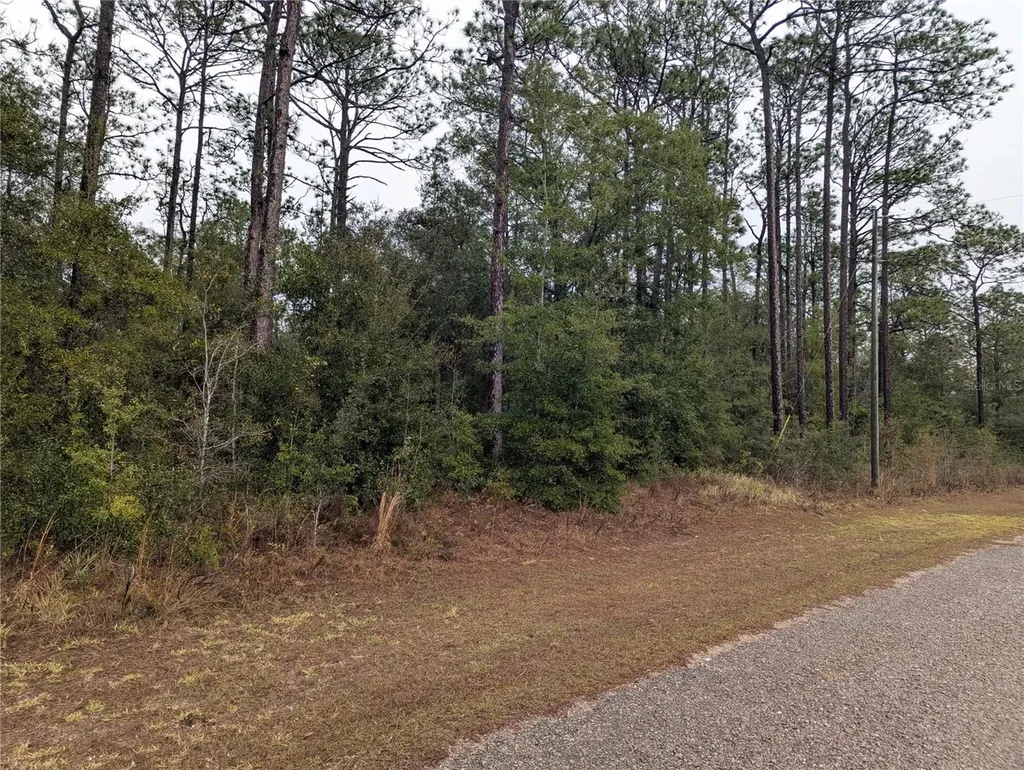 2737 W Blink Drive Citrus Springs FL 34434