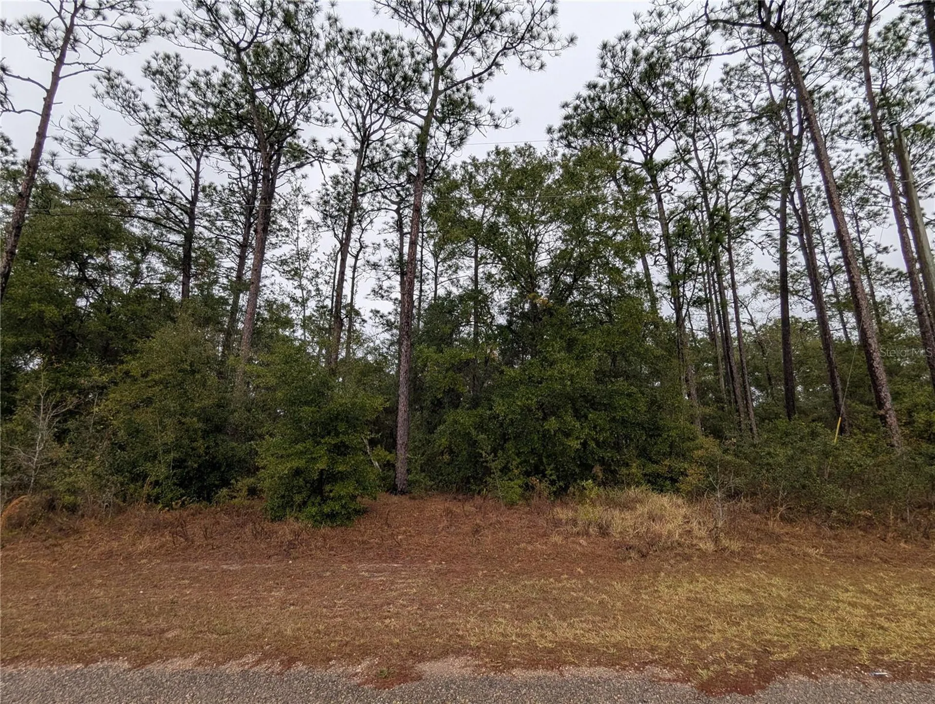 2737 W Blink Drive Citrus Springs FL 34434