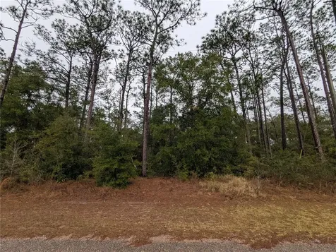 2737 W Blink Drive Citrus Springs FL 34434